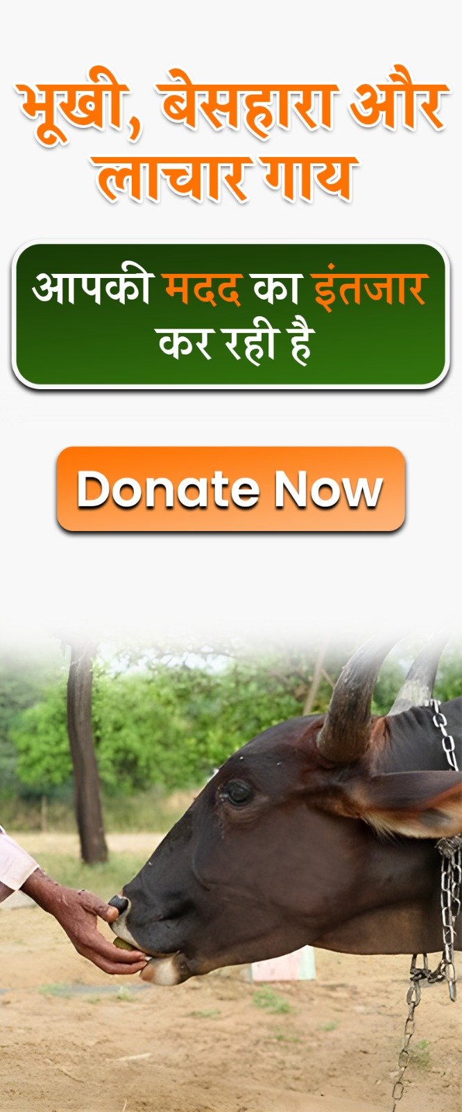 WhatsApp Image 2026-04-09 at 6.49.18 PM (1)