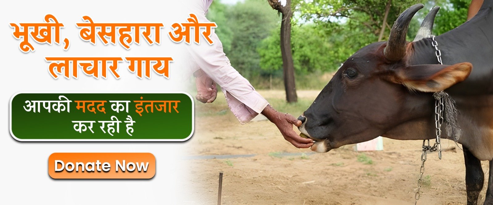 WhatsApp Image 2026-04-09 at 6.49.18 PM